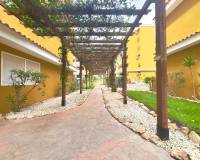 Перепродажа - Apartment - Torrevieja - Punta prima