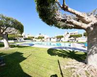 Перепродажа - Duplex - Torrevieja - Urb. Jardín del Mar