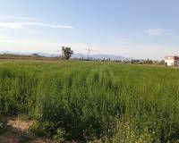 Перепродажа - Finca - Dolores - 03150