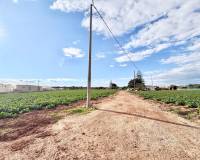 Перепродажа - Finca - San Pedro del Pinatar - Las Beatas