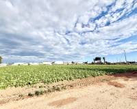Перепродажа - Finca - San Pedro del Pinatar - Las Beatas