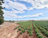 Перепродажа - Finca - San Pedro del Pinatar - Las Beatas