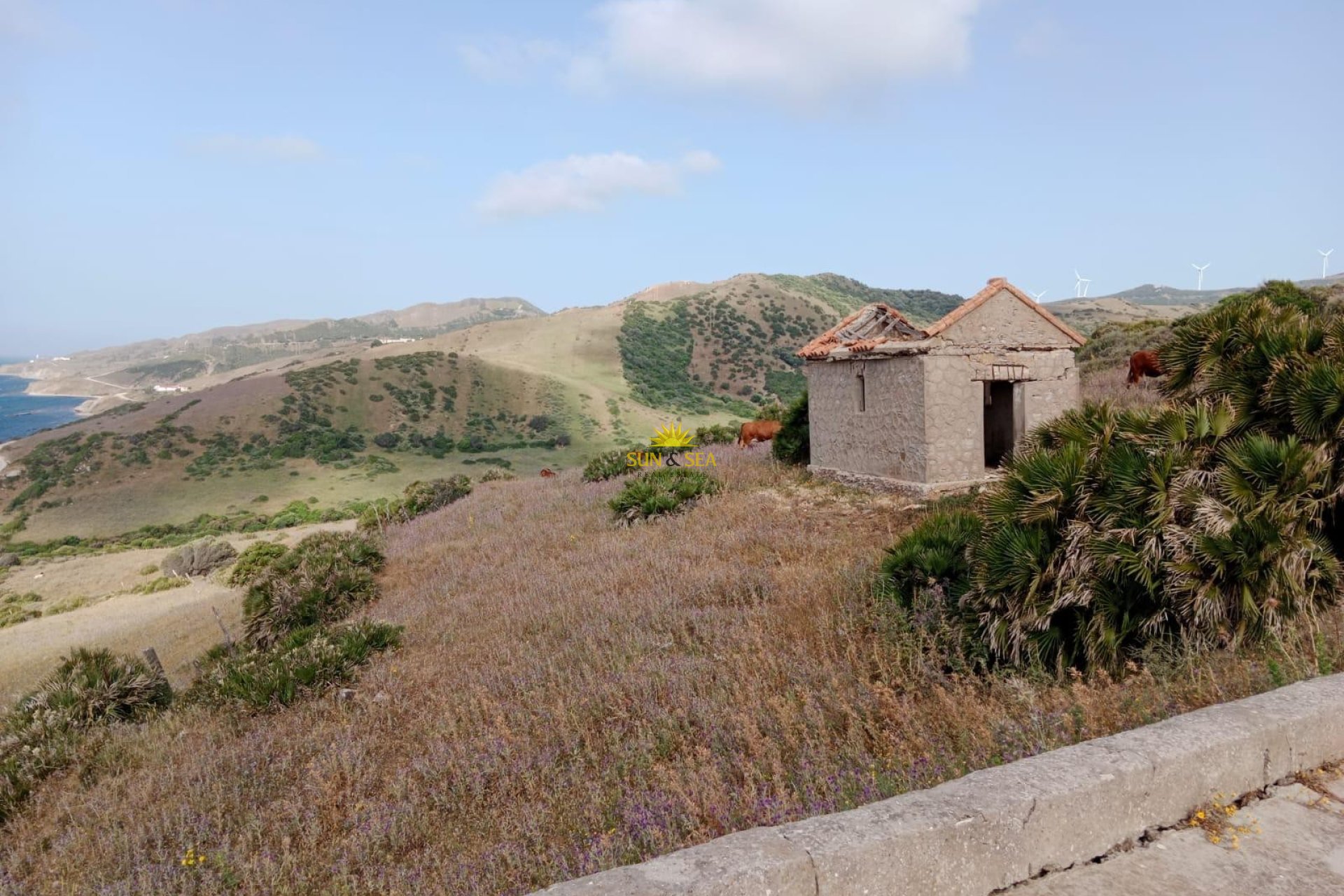 Перепродажа - Plot - Tarifa