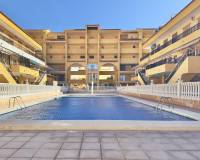 Перепродажа - Studio apartment - Torrevieja - Los Europeos