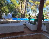 Перепродажа - Villa / Semi detached - Orihuela