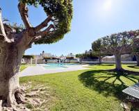 Перепродажа - Villa - Torrevieja - Urb. Jardín del Mar