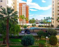 Resale - Apartment - Torrevieja - La veleta