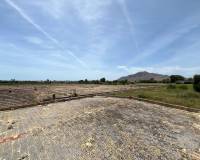 Resale - Finca - Callosa de Segura - Callosa de Segura 