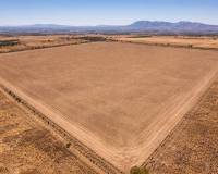 Resale - Finca - Crevillente