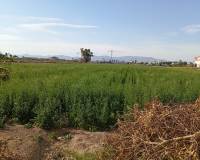 Resale - Finca - Dolores - 03150