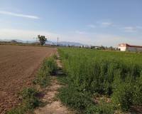 Resale - Finca - Dolores - 03150