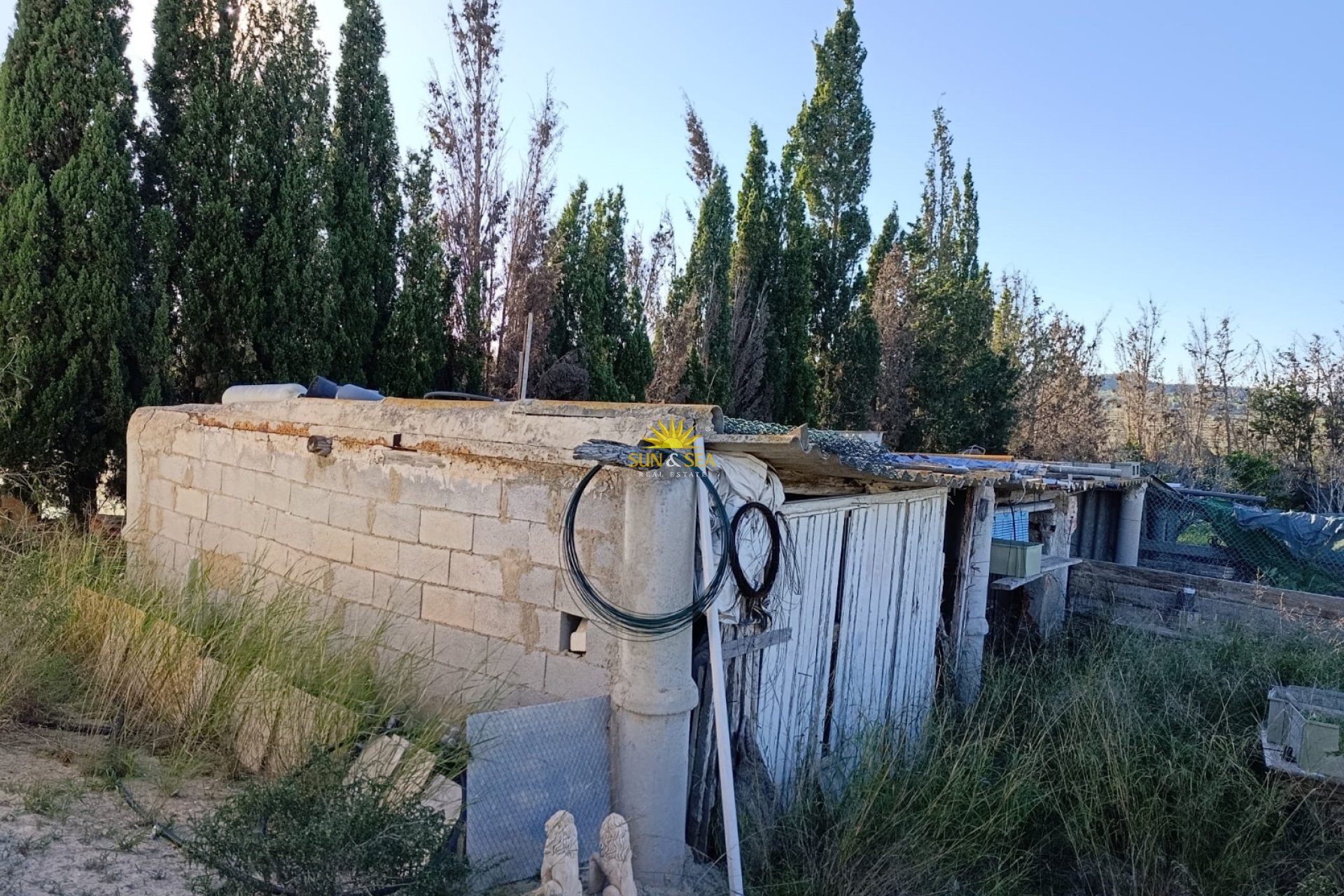 Resale - Finca -  - San Miguel de Salinas
