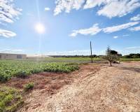 Resale - Finca - San Pedro del Pinatar - Las Beatas