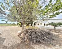 Resale - Finca - San Pedro del Pinatar - Las Beatas