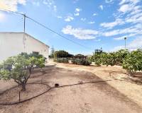 Resale - Finca - San Pedro del Pinatar - Las Beatas