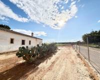 Resale - Finca - San Pedro del Pinatar - Las Beatas