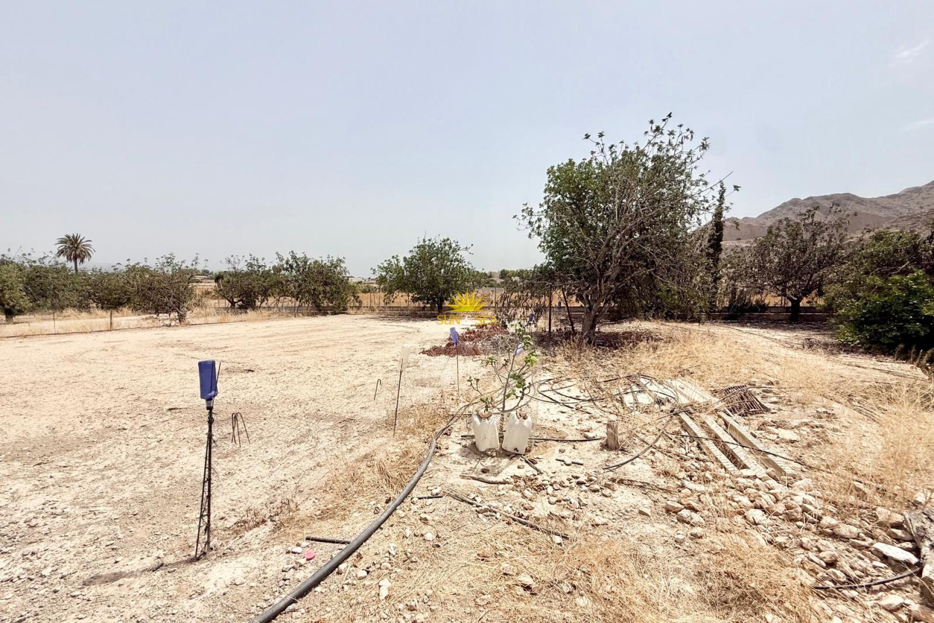 Resale - Plot -  - Cox