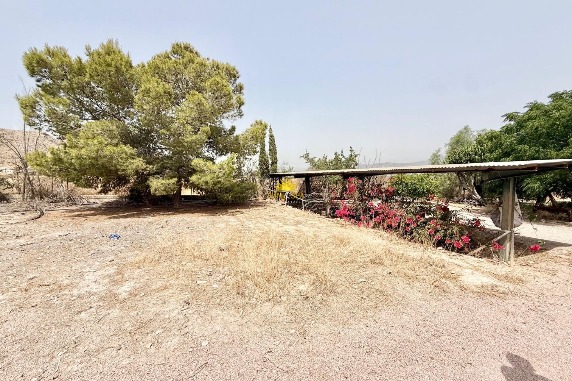 Resale - Plot -  - Cox