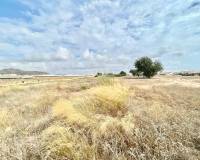 Resale - Plot - Murcia - Los Dolores