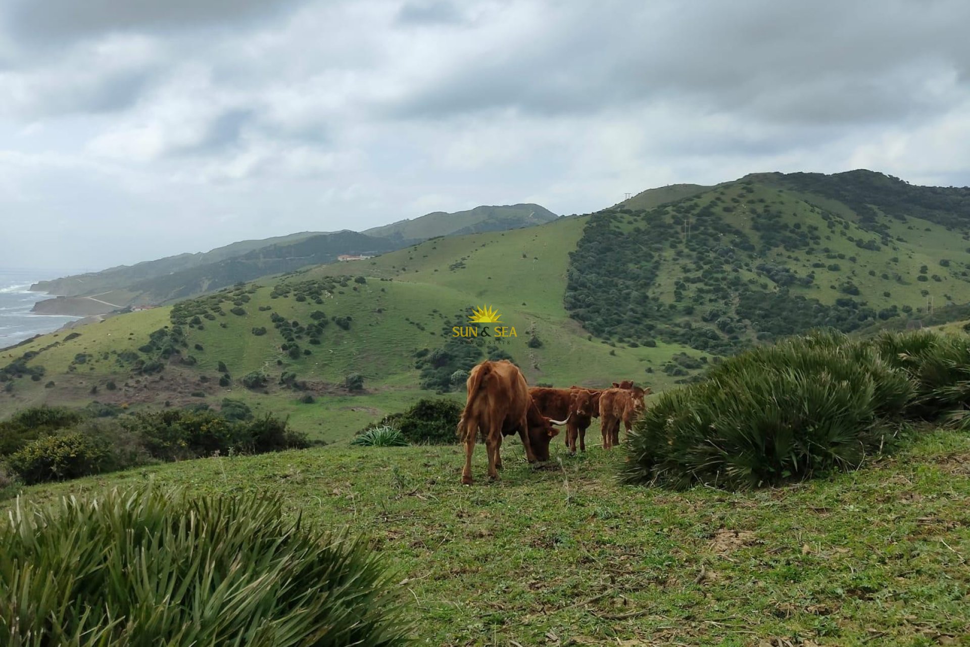 Resale - Plot - Tarifa