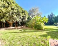 Resale - Villa - Daya Nueva