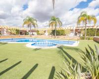 Resale - Villa / Semi detached - Pilar de la Horadada - Mil Palmeras