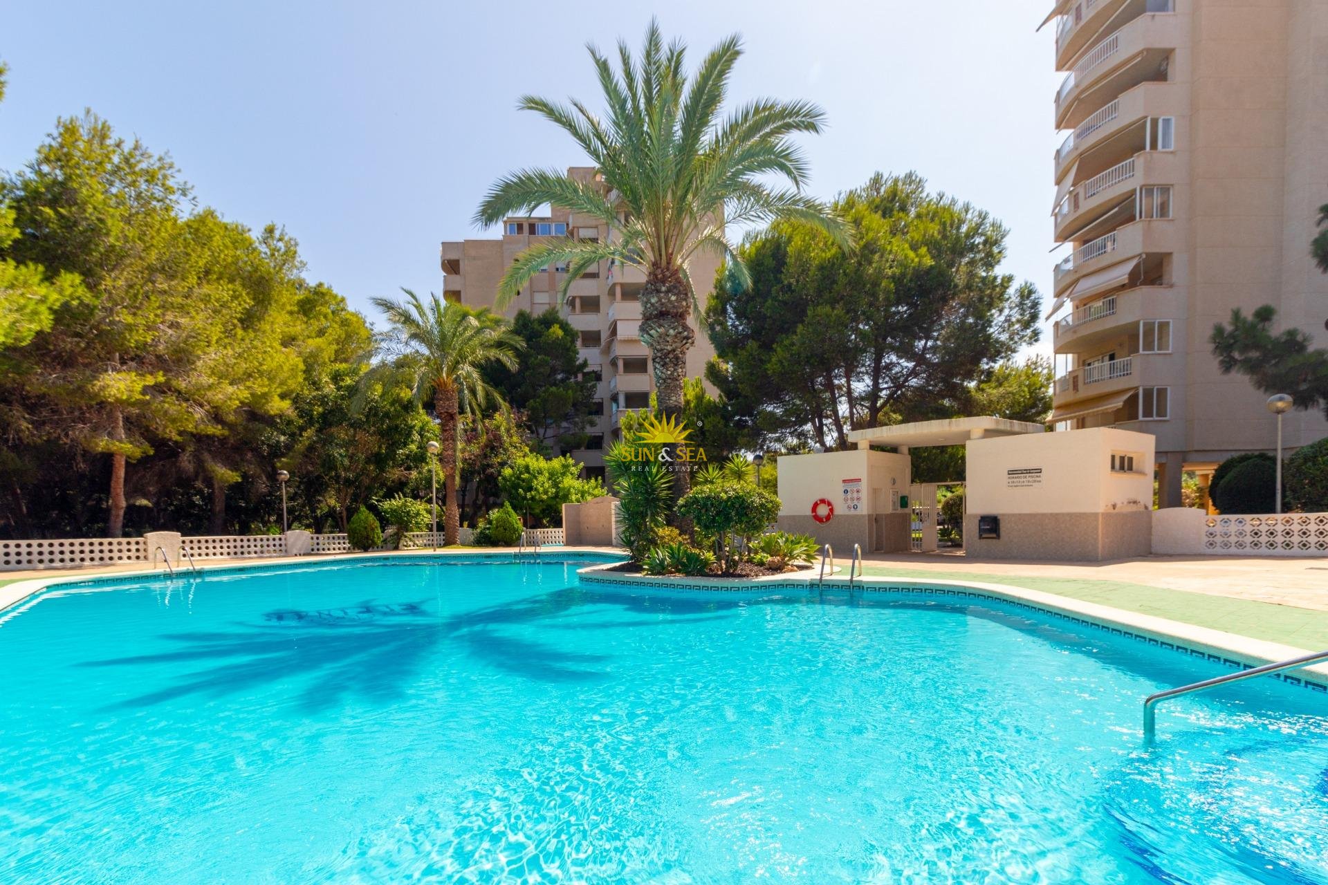 Reventa - Apartamento - Orihuela Costa - Campoamor