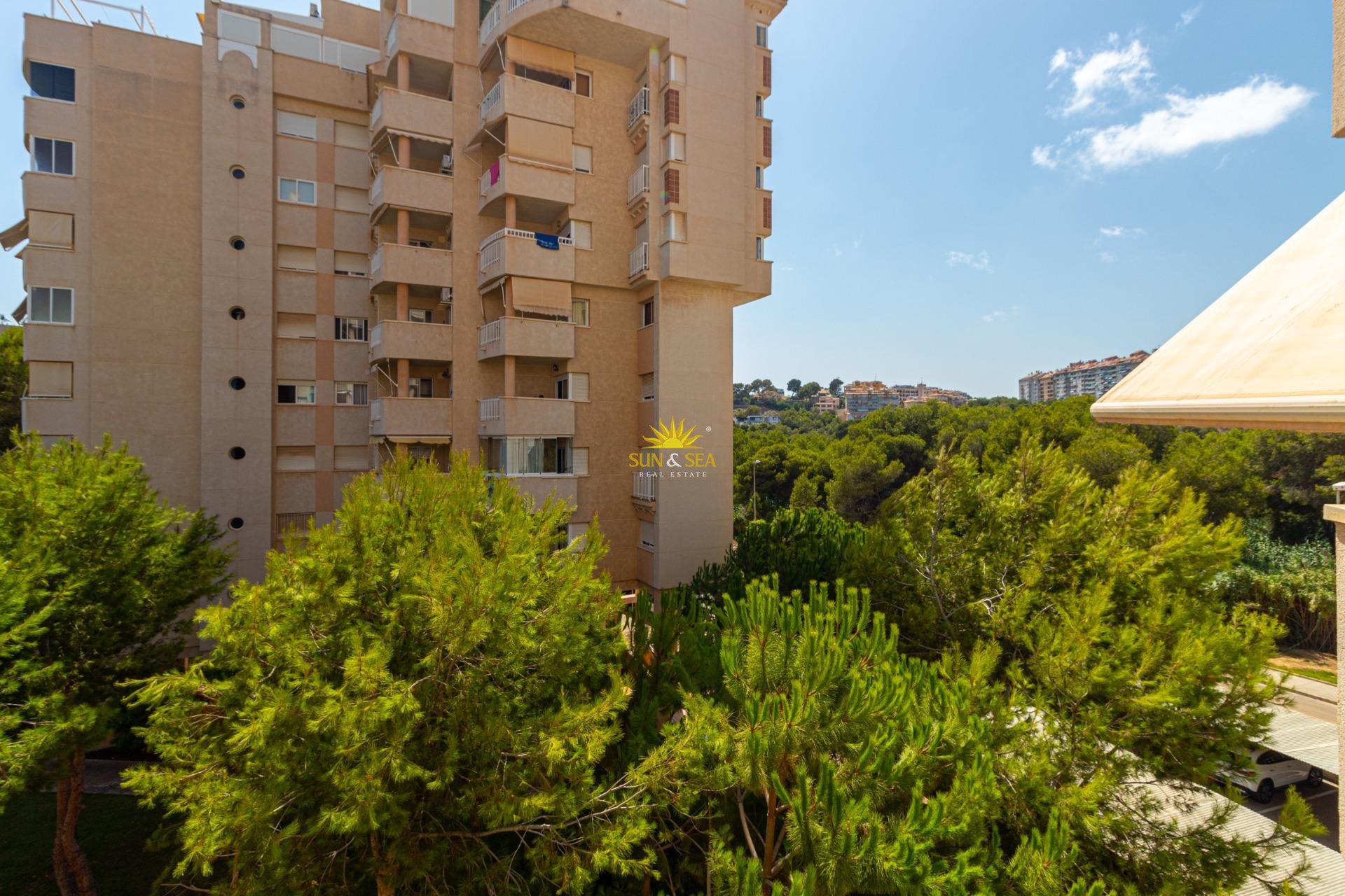 Reventa - Apartamento - Orihuela Costa - Campoamor