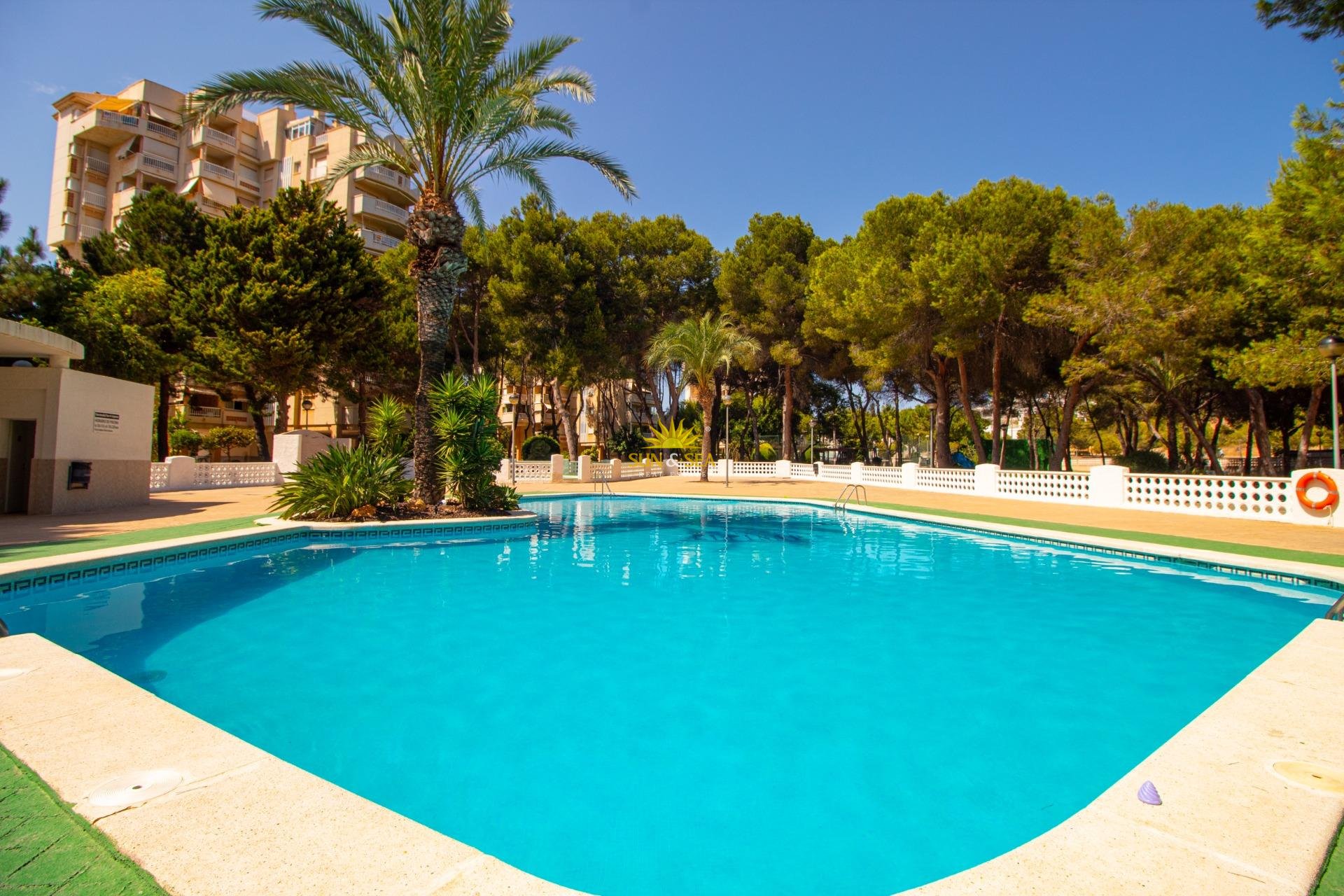 Reventa - Apartamento - Orihuela Costa - Campoamor