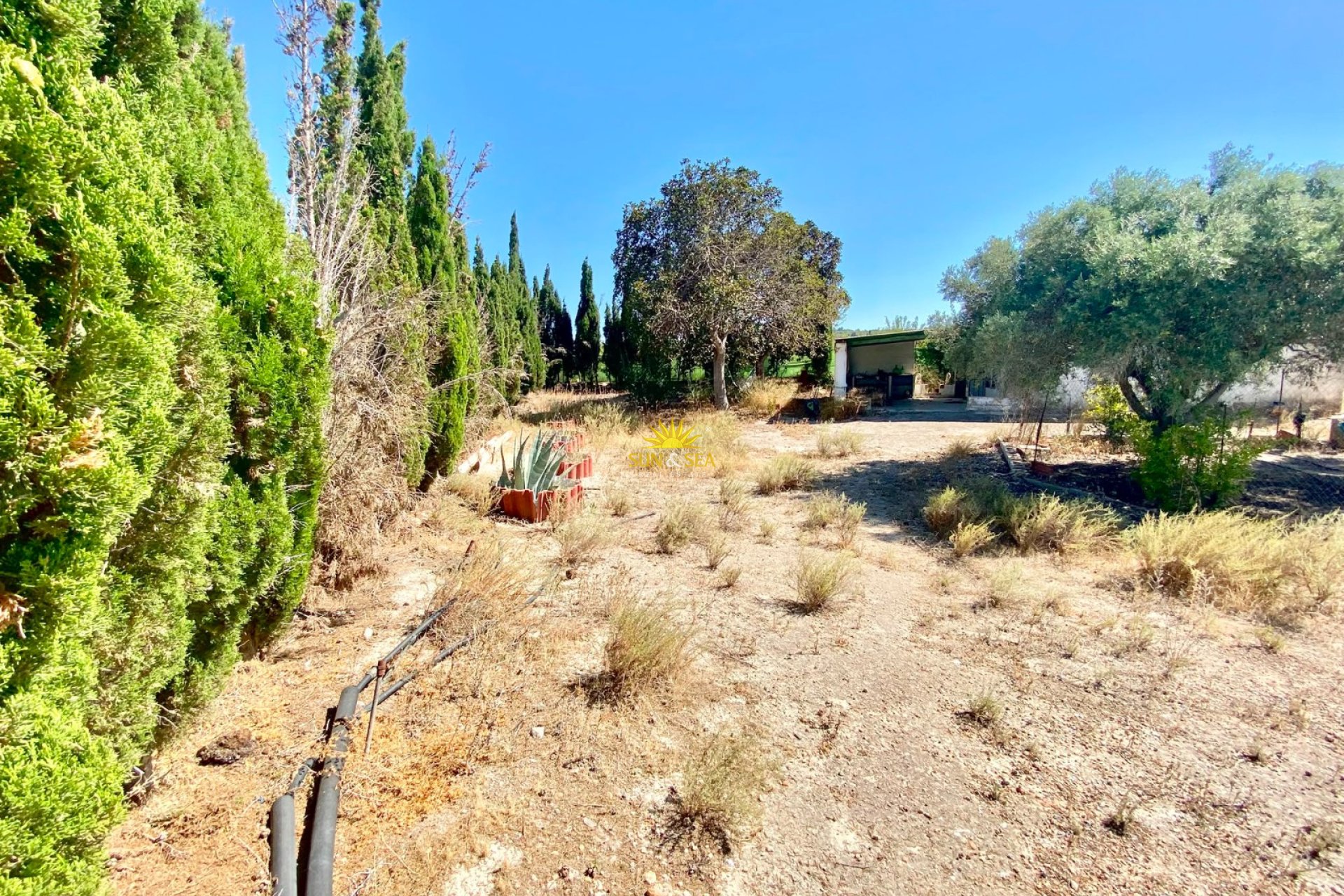 Reventa - Finca -  - San Miguel de Salinas