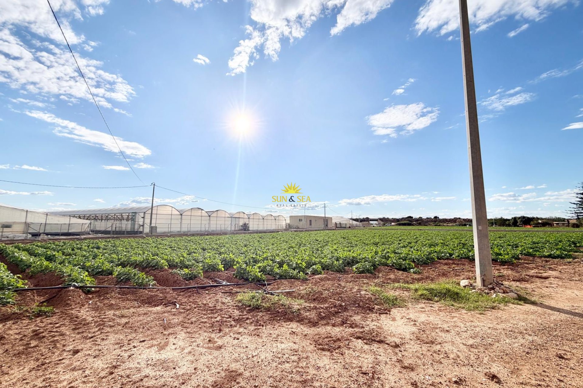 Reventa - Finca - San Pedro del Pinatar - Las Beatas