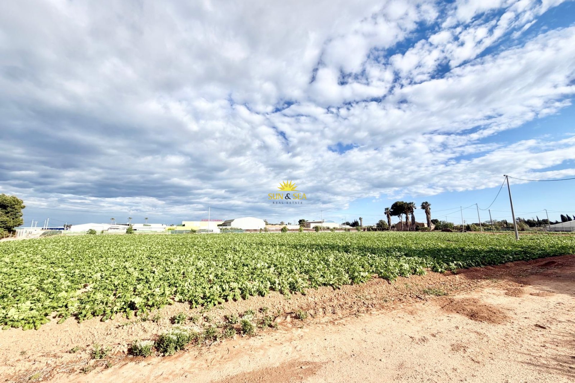 Reventa - Finca - San Pedro del Pinatar - Las Beatas