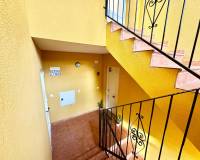 Revente - Appartement - Daya Nueva