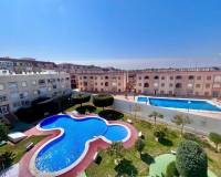 Revente - Appartement - Torrevieja - Acequion