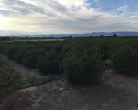 Revente - Duplex - Daya Nueva