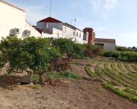 Revente - Finca - Dolores - 03150