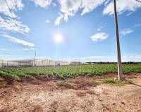 Revente - Finca - San Pedro del Pinatar - Las Beatas