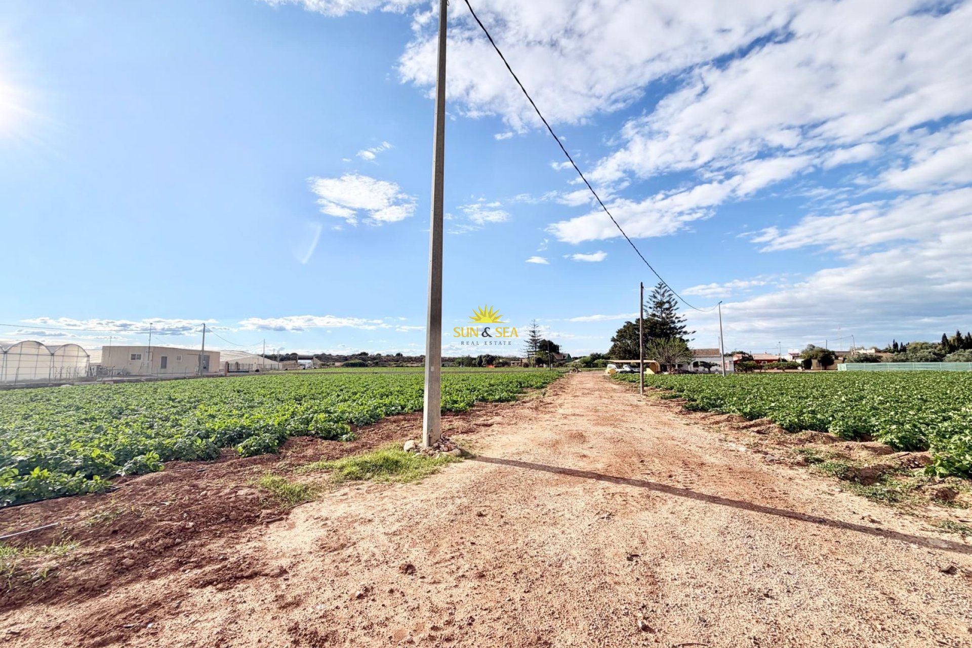 Revente - Finca - San Pedro del Pinatar - Las Beatas