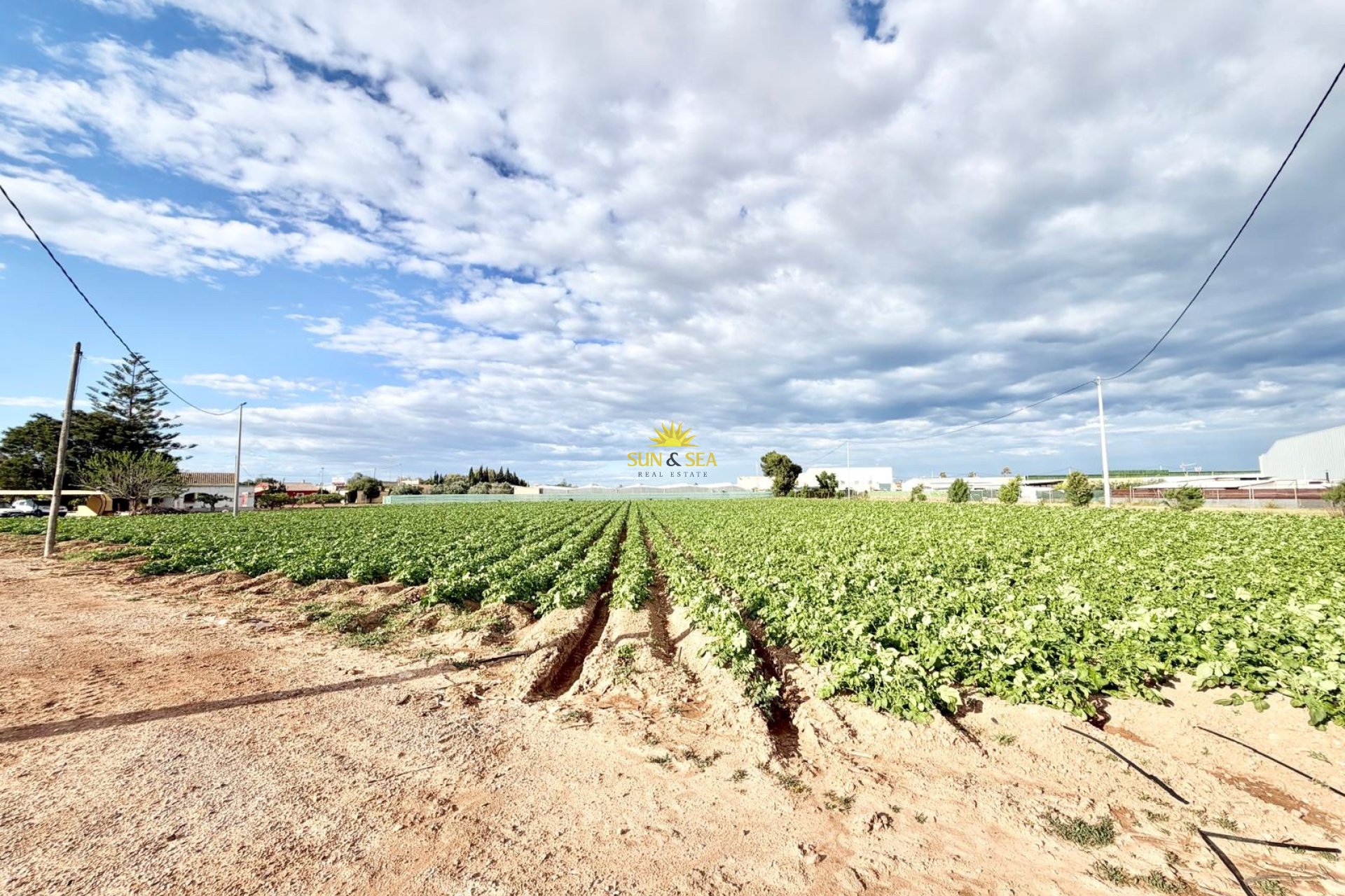 Revente - Finca - San Pedro del Pinatar - Las Beatas