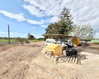 Revente - Finca - San Pedro del Pinatar - Las Beatas