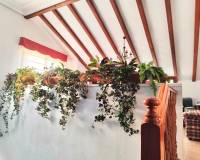 Revente - Villa - Torre Pacheco - Torrepacheco