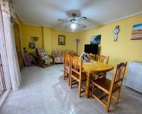 Short time rental - Apartment - Torrevieja - torrevieja