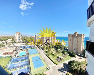 Studio apartment - Аренда на длительный срок - Campoamor - RENT-2159MGSP