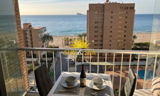 Studio apartment - Долгосрочная аренда - Benidorm - Benidorm