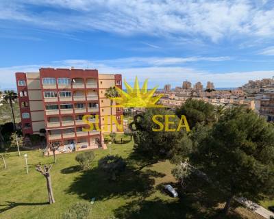 Studio apartment - Location longue durée - Torrevieja - RENT-2945L