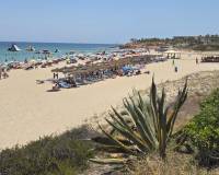 Venta - Chalet - Pilar de la Horadada - Mil Palmeras