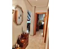 Venta - Chalet - Torre Pacheco - Torrepacheco