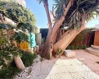 Venta - Chalet - Torrevieja - Urb. Jardín del Mar