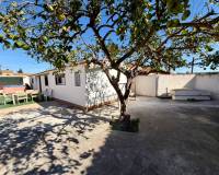 Venta - Finca - Cartagena - Pozo Estrecho