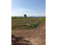 Venta - Finca - Dolores - 03150